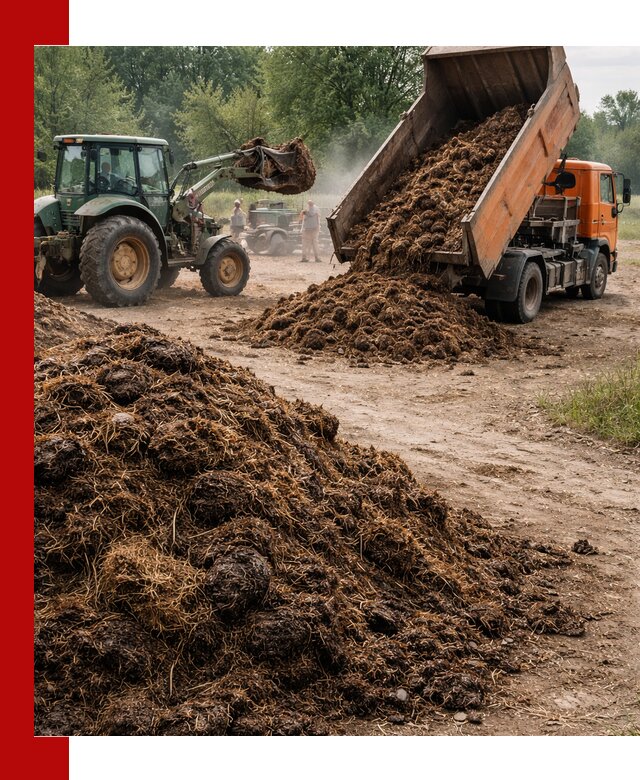 Доставка навоза самосвалами в Усть-Илимске для сельхозпотребностей